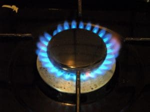 Gas stove and burner