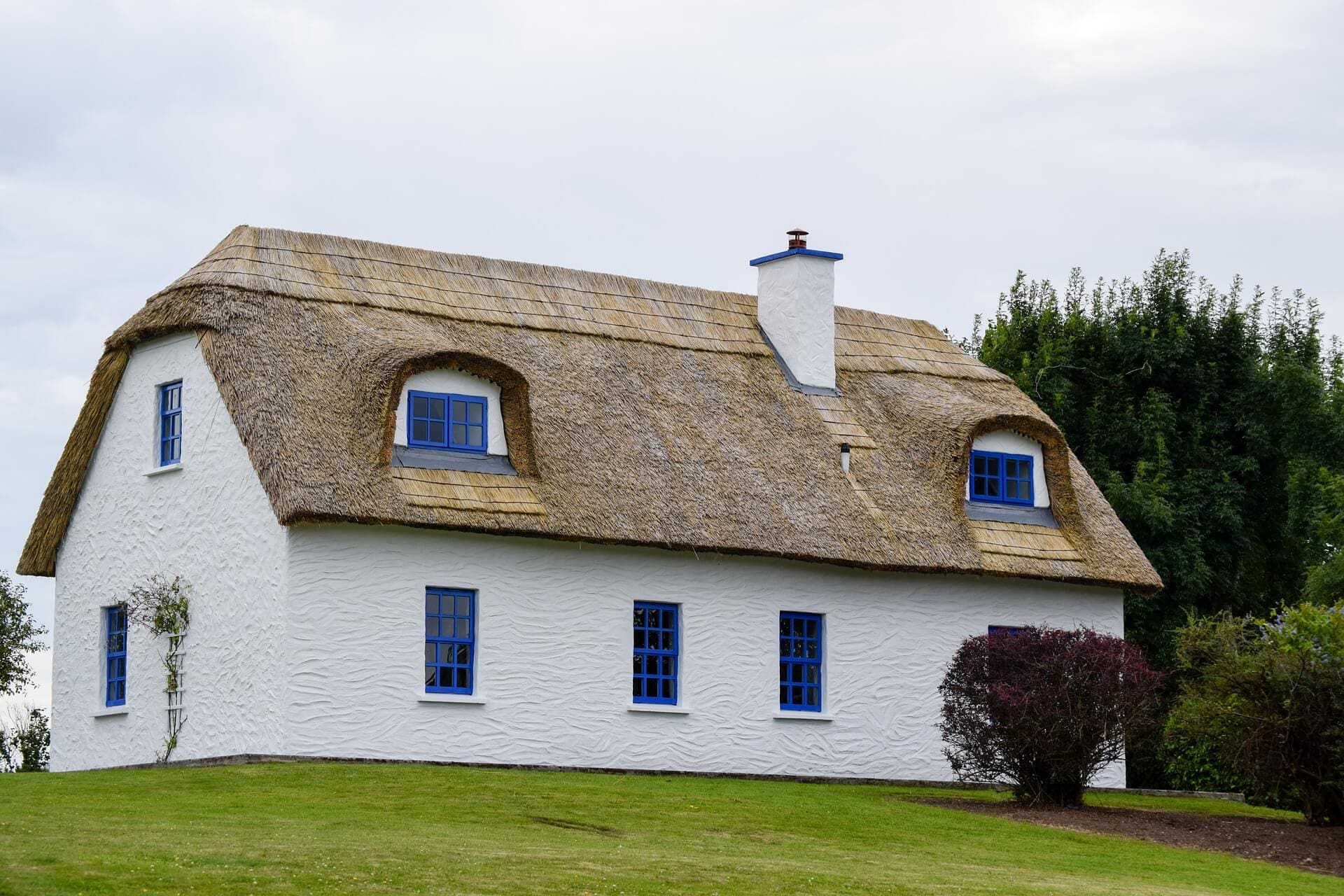 pros and cons of thatched roofs