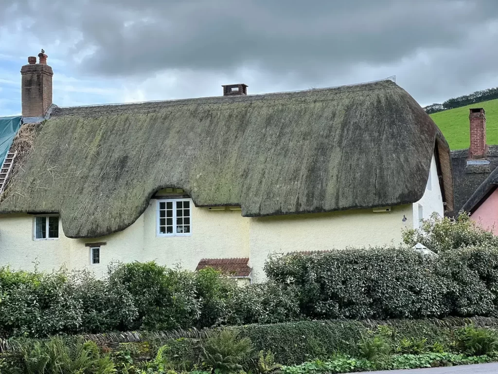thatched roof cottage needing maintenance. Photo taken in North Devon. Will need to buy home insurance that is non-standard.